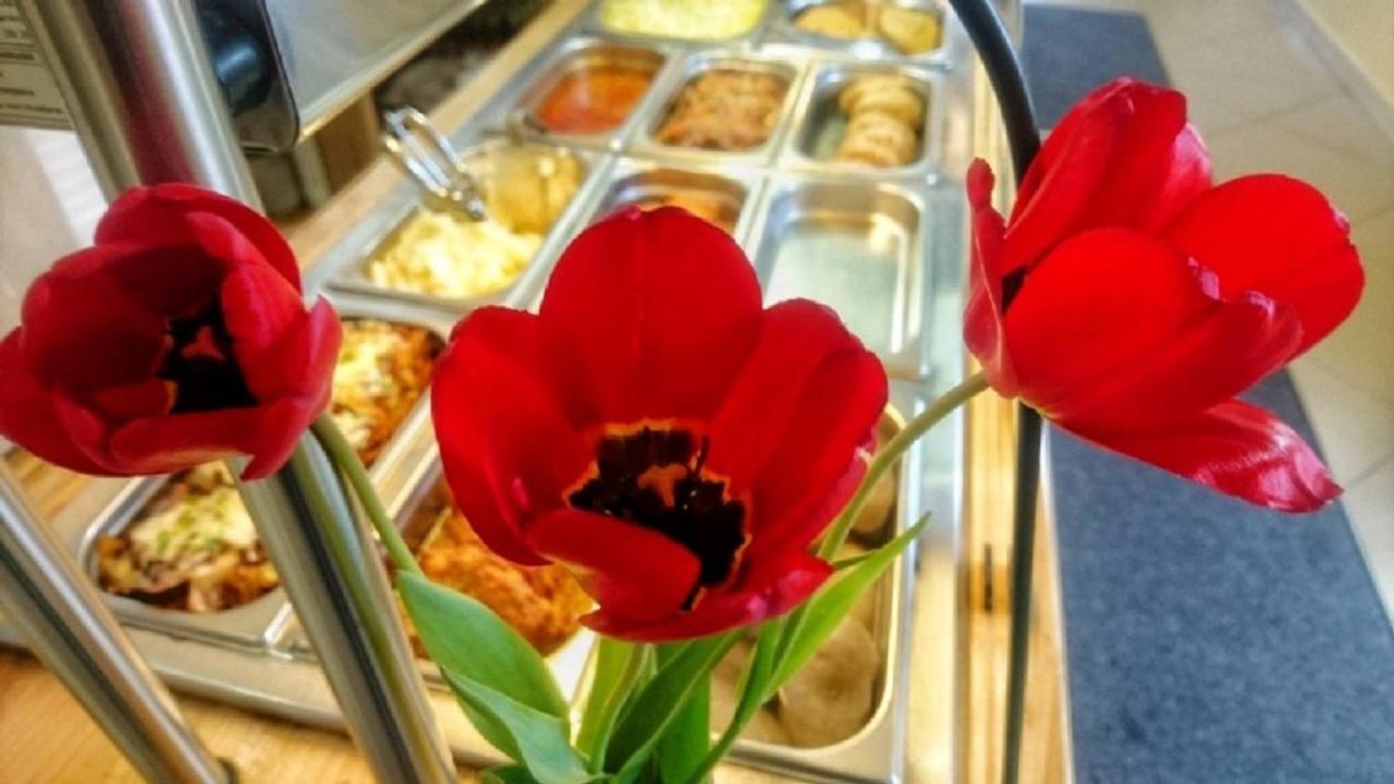 Serce Сокулка Екстериор снимка